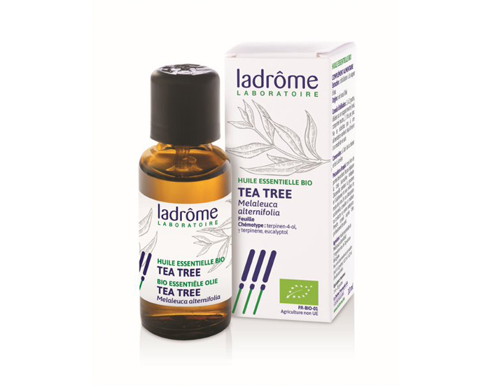 LADROME Huile Essentielle de Tea Tree Bio 