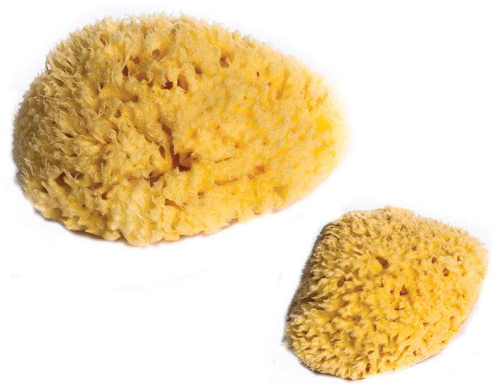 DBB REMOND Lot de 2 �ponges Naturelles