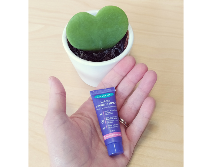 LANSINOH Cr�me pour l'Allaitement � la Lanoline 10 ml (3)