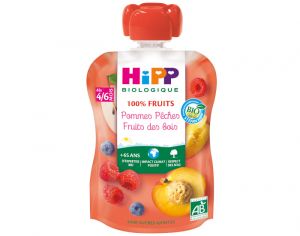HIPP Gourde 100% Fruits - D�s 4 Mois - 90g Pomme P�che Fruits des Bois