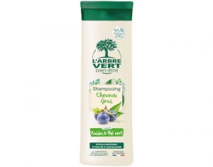 L'ARBRE VERT BIEN-�TRE Shampooing Detox - Cheveux Gras - 250 ml