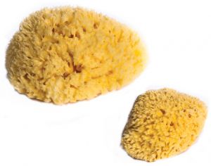 DBB REMOND Lot de 2 �ponges Naturelles