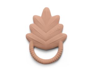 Anneaux de Dentition