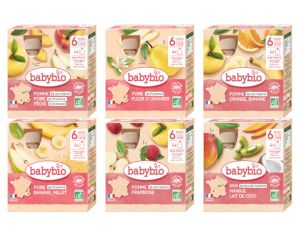 BABYBIO Lot Gourdes Fruits - D�s 6 mois - 24x90g